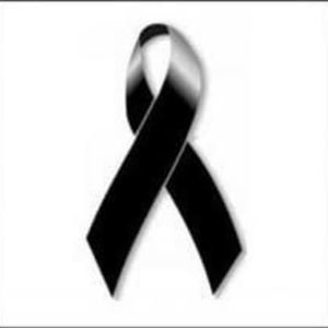 Meet your Posher, Nelio